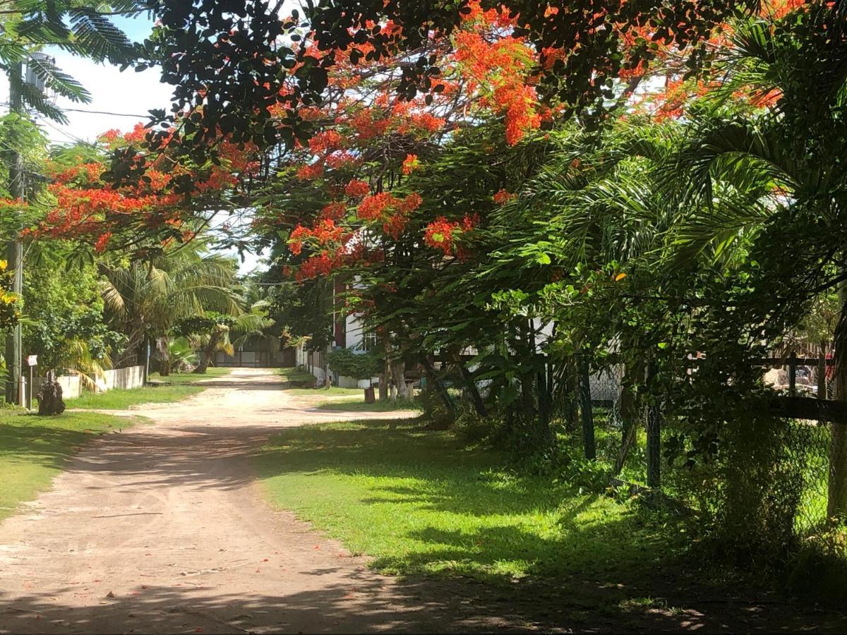 Belize Budget Suites San Pedro  Exteriér fotografie